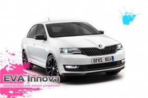 Skoda Rapid 2014 - 2019